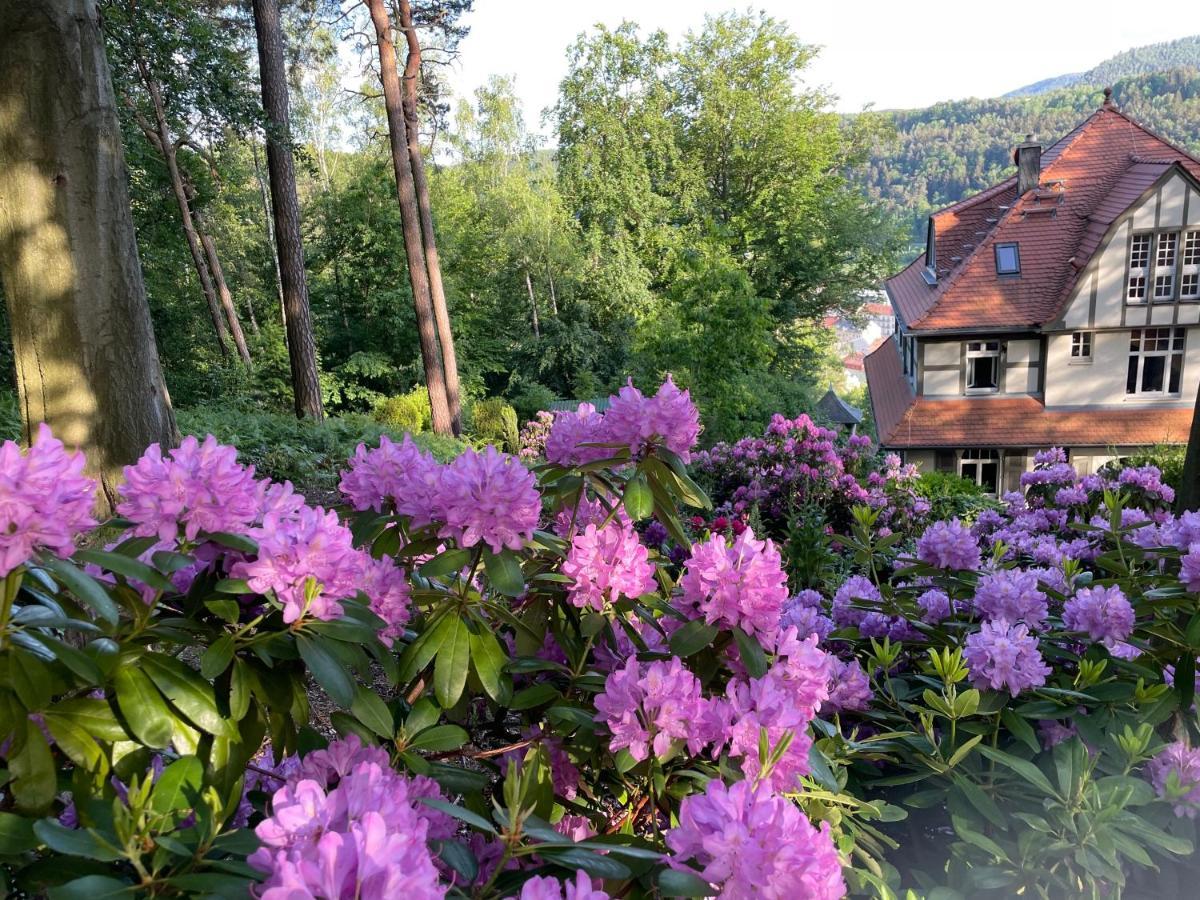Villa Sonnenburg Бад Шандау Екстериор снимка